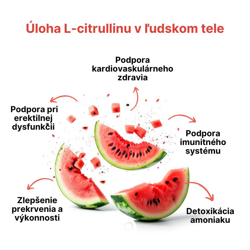 (Slovenčina) Úloha L-citrullinu v lidském těle
